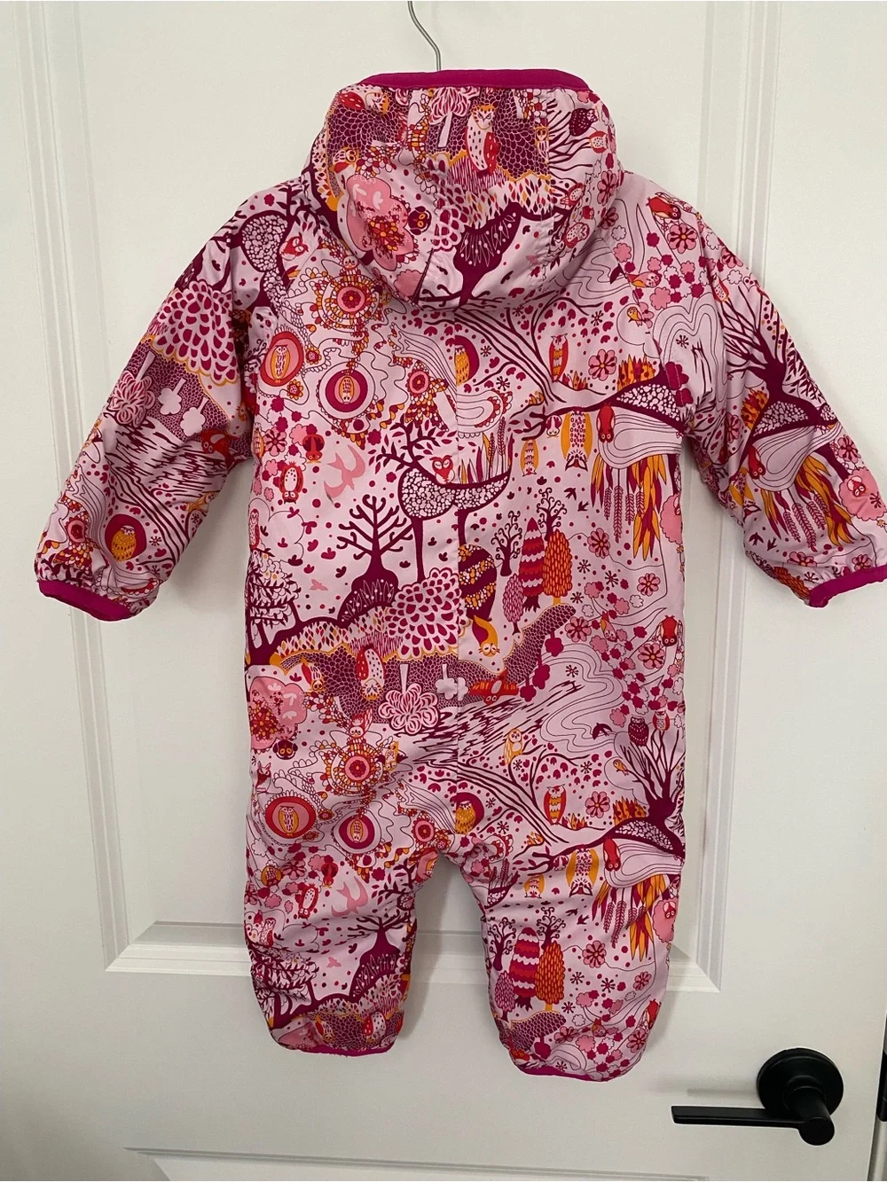 Patagonia insulated hooded